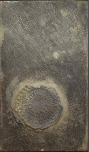 Snowflake Circle, 1950s, Plaster cast, 122 x 81.3 cm